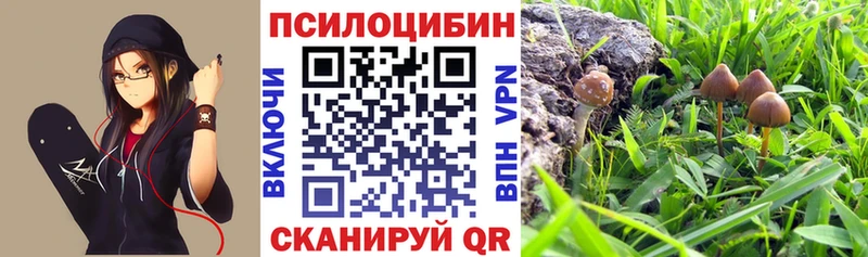 Галлюциногенные грибы мухоморы  Нижнекамск 