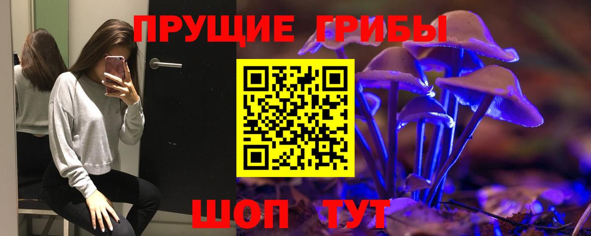 Псилоцибиновые грибы прущие грибы Нижнекамск